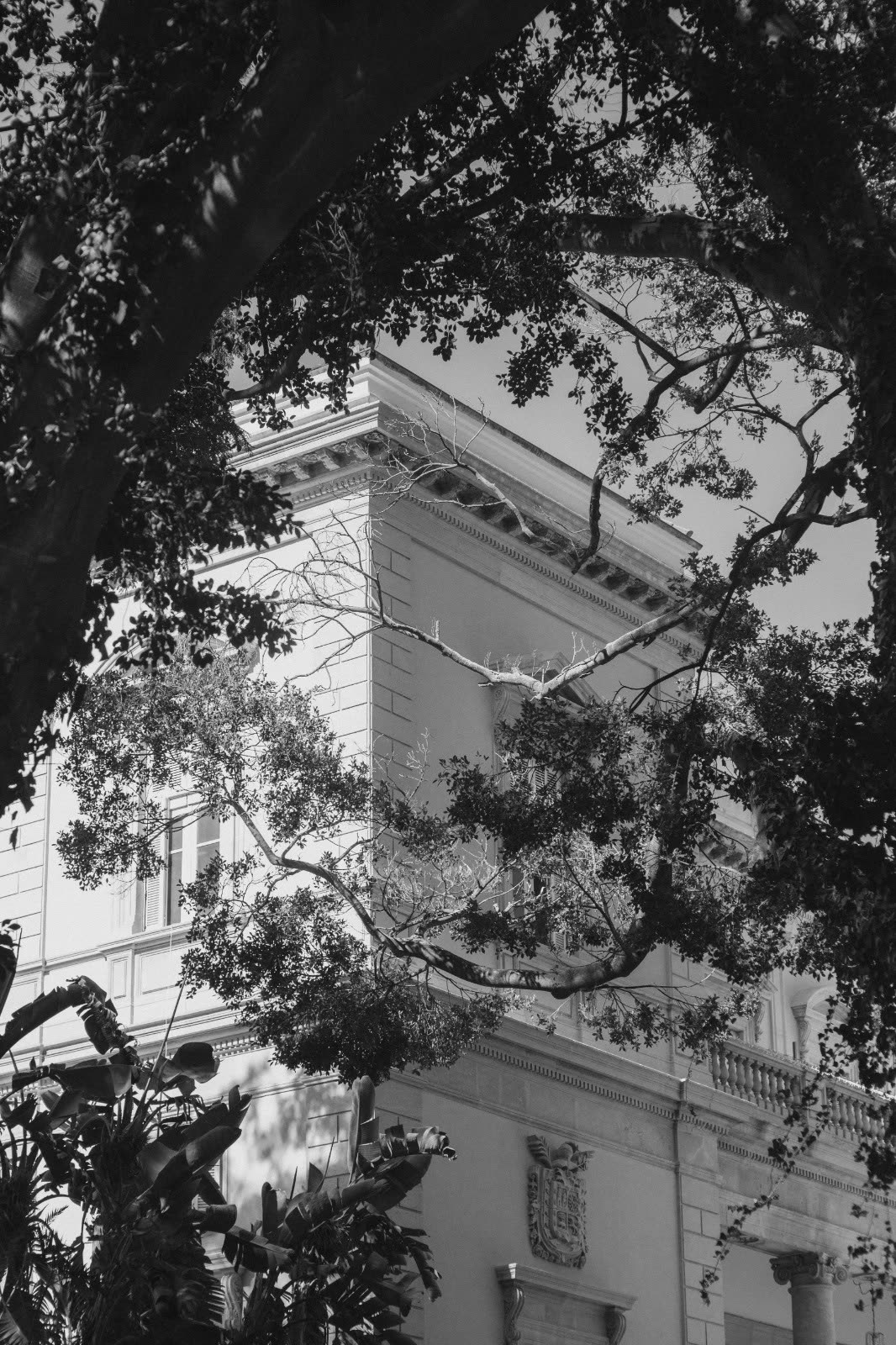 Hacienda Nadales — wedding venue
